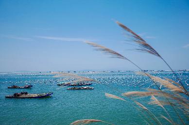 【潮汕南澳島美食動(dòng)車三天】<韓文公祠→宋代潮州古城 潮州古城燈光秀 非遺英歌舞 南澳大橋 北回歸線>