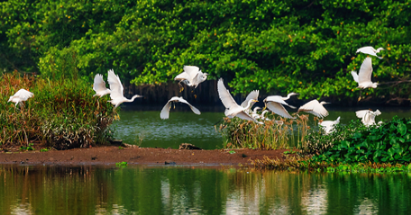 【江門陽(yáng)江2天】<深中通道、無限次浸泡空中園林溫泉赤坎古鎮(zhèn)僑鄉(xiāng)國(guó)際旅游區(qū)天麓山海山頂攬勝、十里銀灘>
