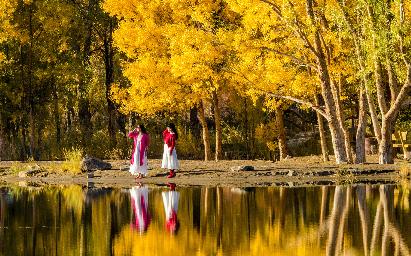 【H8N金塔幻影 青甘風物詩雙飛8日】金塔胡楊林·鳴沙山·嘉峪關·青海湖·翡翠湖·茶卡鹽湖·黃河風情