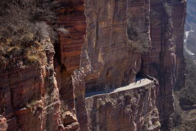 【慢享長(zhǎng)安 夢(mèng)回大唐令雙飛5日】兵馬俑·西安博物院·華山·華清宮·長(zhǎng)安十二時(shí)辰·鐘鼓樓·秦腔博物館