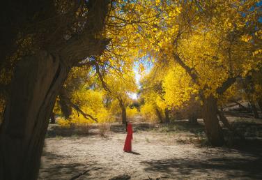 【H8S湖野金塔 青甘風(fēng)物詩(shī)雙飛8日】金塔胡楊林·七彩丹霞·莫高窟·鳴沙山·嘉峪關(guān)·翡翠湖·茶卡鹽湖