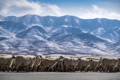 景點：海北地區